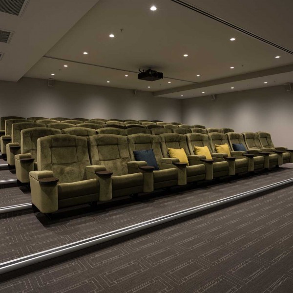 Pacific Coast RV Cinema Seats
